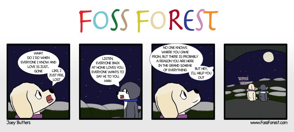 Midnight Reflections